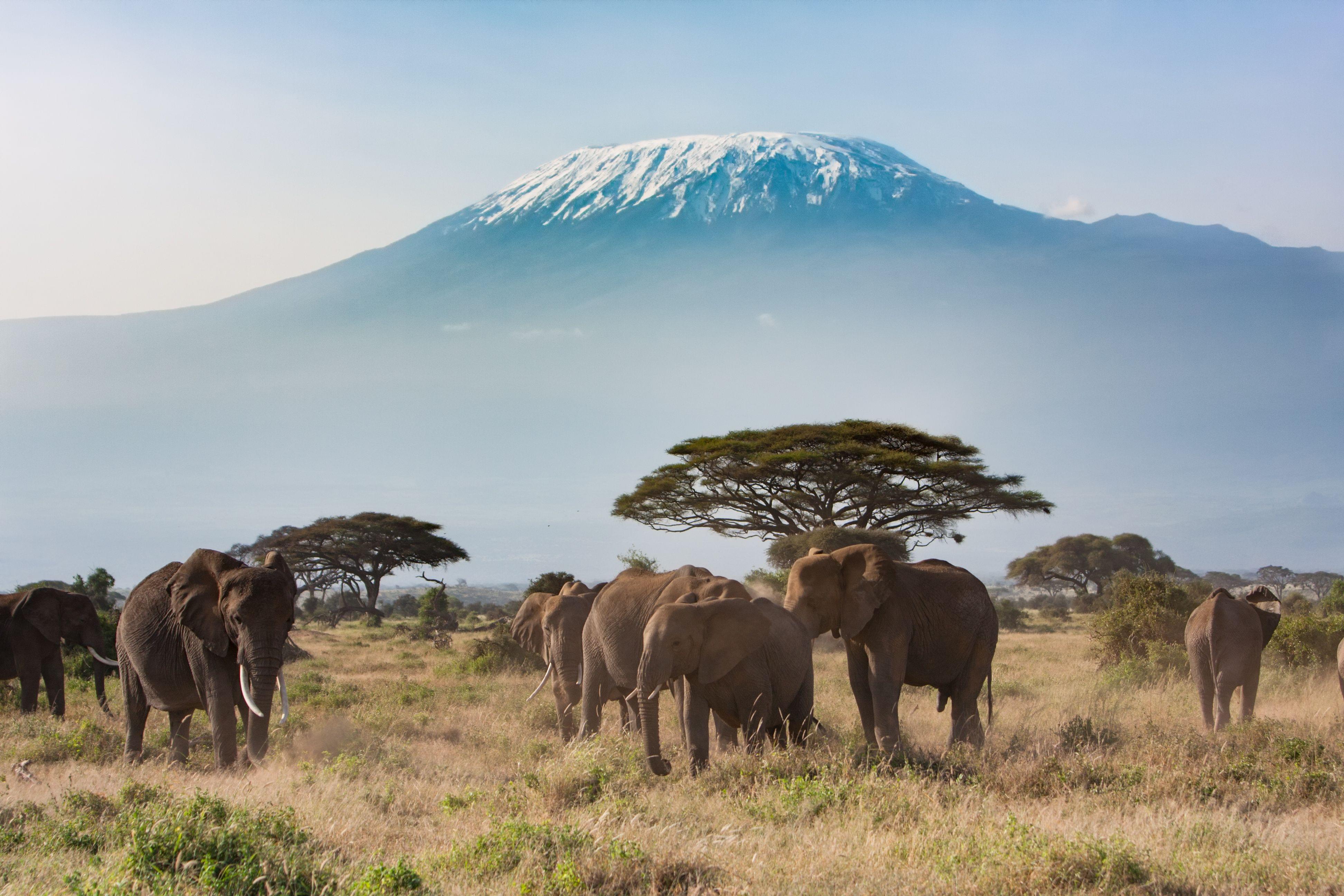 National Parks in Kenya