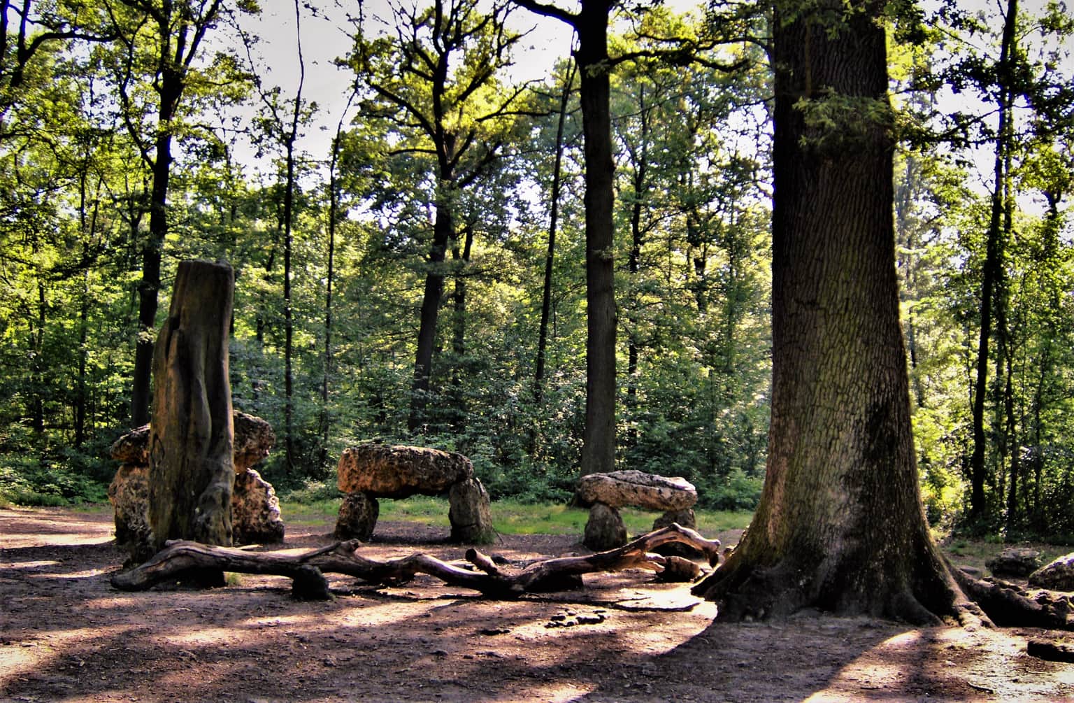 AccroCamp Forêt de Meudon | Accrobranche 92, <em>France</em>
