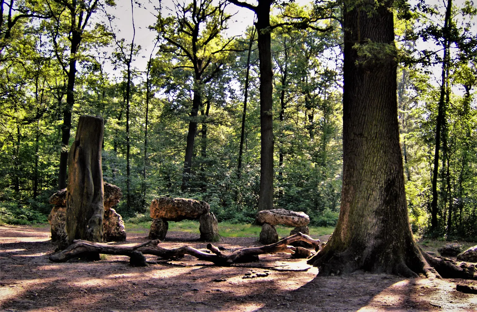 AccroCamp Forêt de Meudon | Accrobranche 92, <em>France</em>