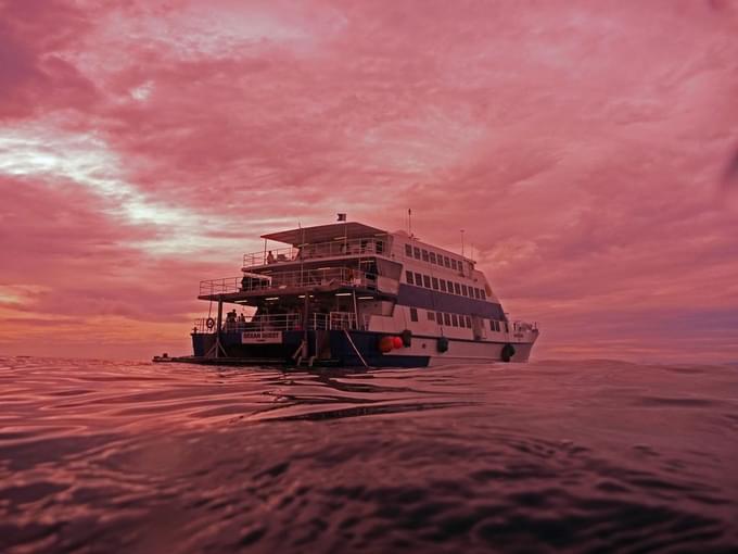 Great Barrier Reef Tours