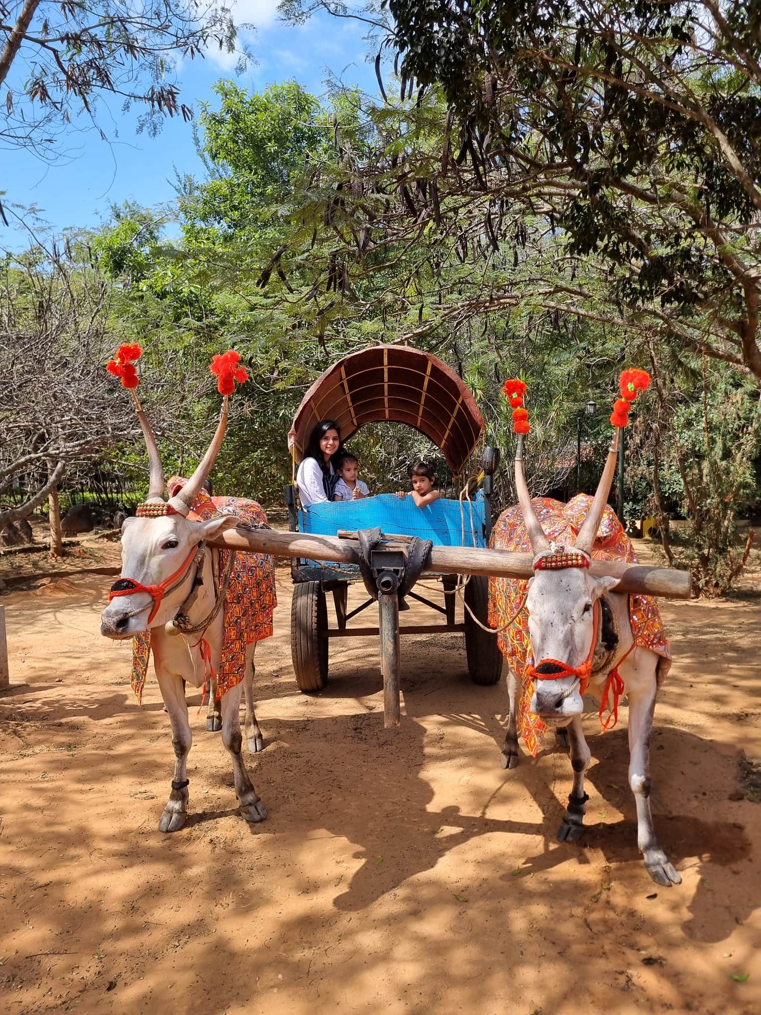 Photo from Deepali Doliya's trip