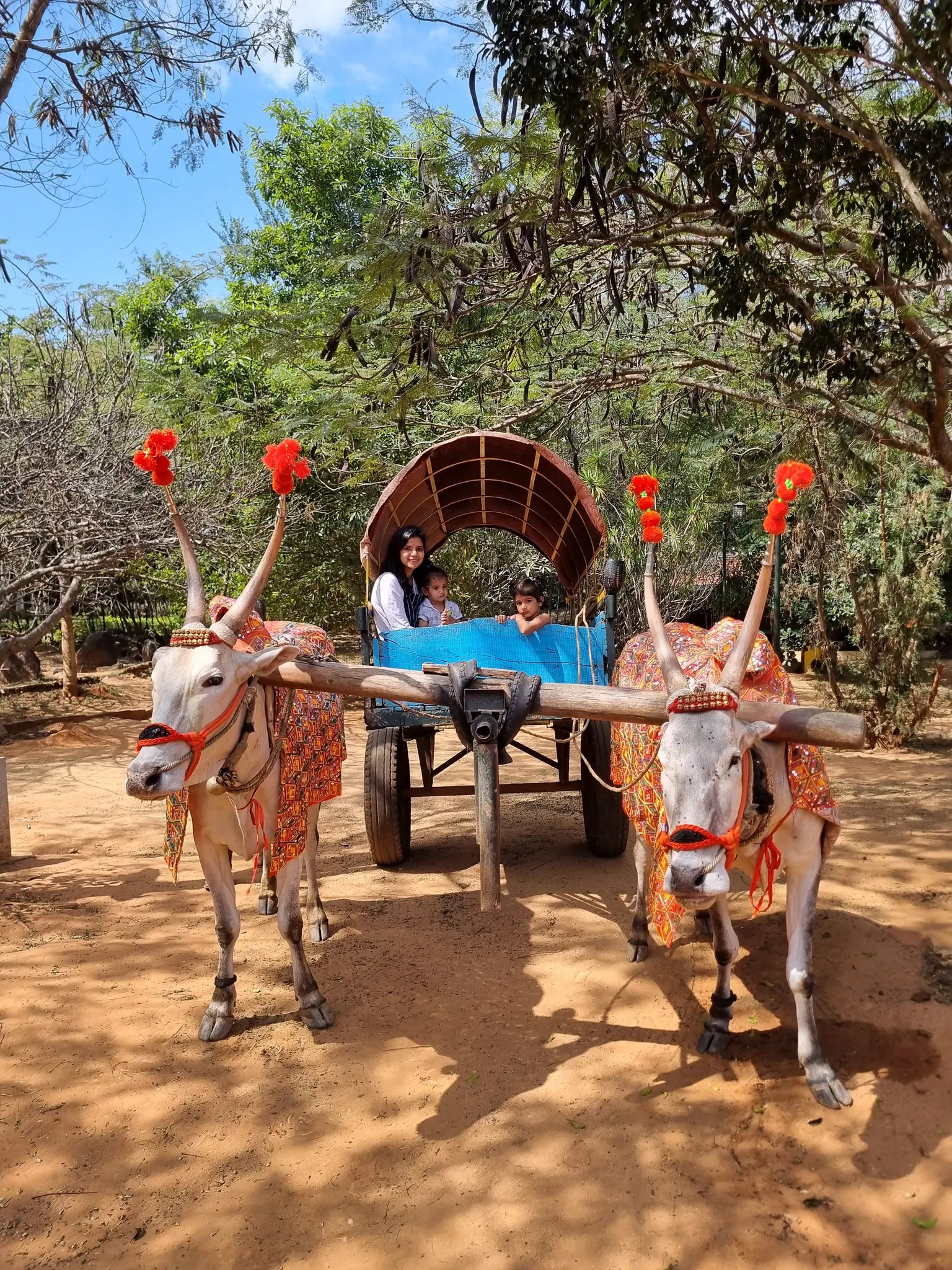 Photo from Deepali Doliya's trip