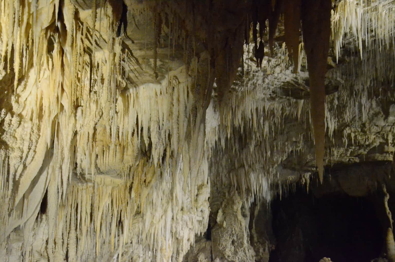 Ruakuri Cave, <em>New Zealand</em>