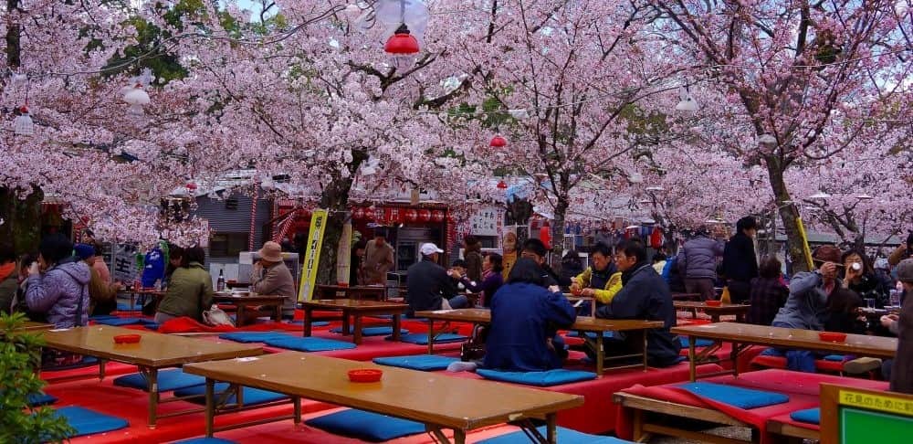 Maruyama Park