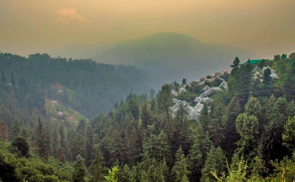 Best In-city Experiences in Kufri