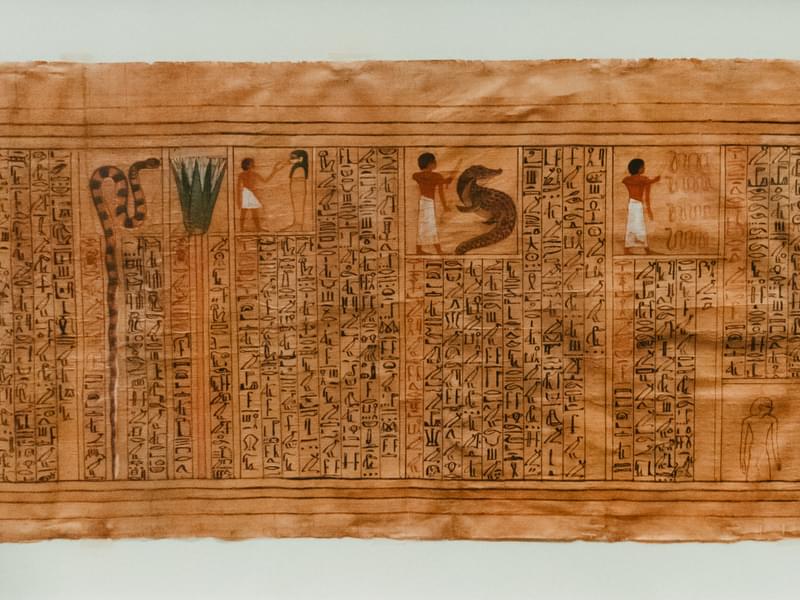 Papyri (Floor -1, Room 1)