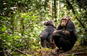 B6c1lj0nmkcml1yrrwobarfcm8b9 dl.beatsnoop.com 3000 iqcedhnt69