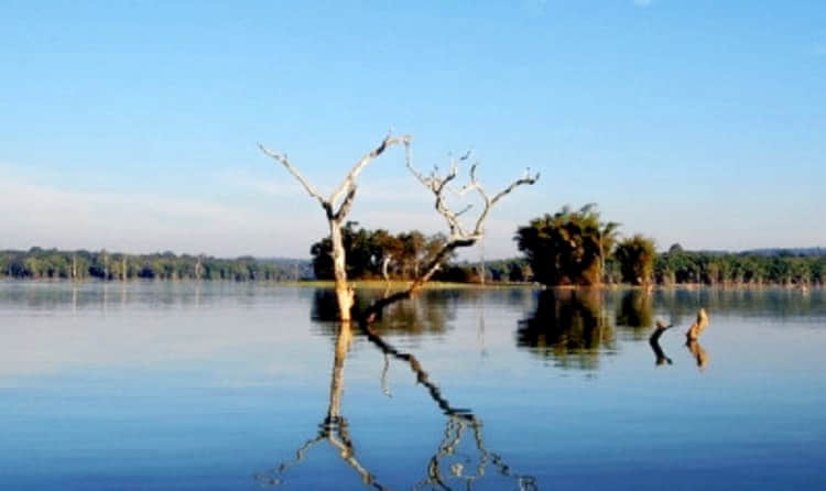 Kabini Backwater View Point
