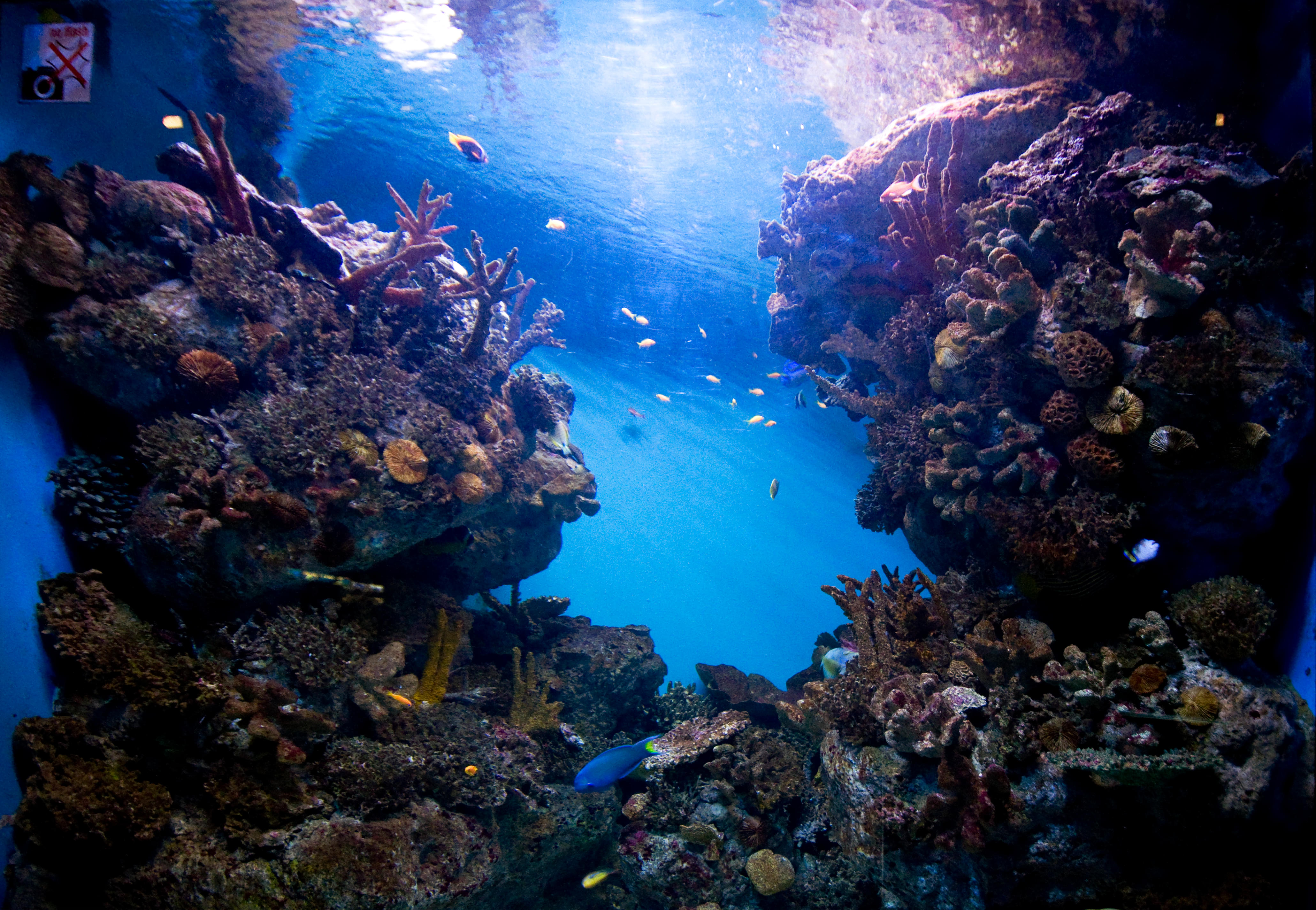 L’Aquarium Barcelona