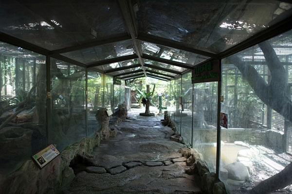 Reptiles Cavern