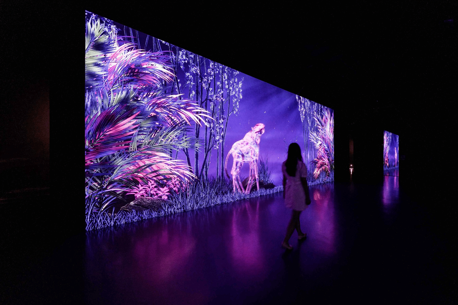 Witness the Eternal Nature Exhibits