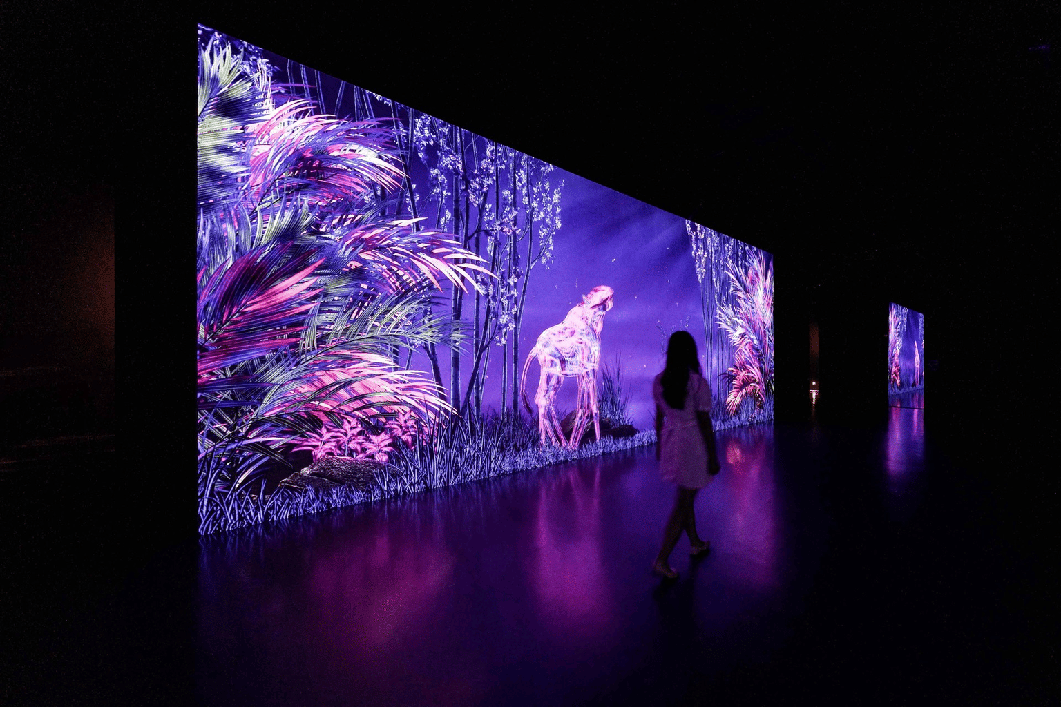 Witness the Eternal Nature Exhibits
