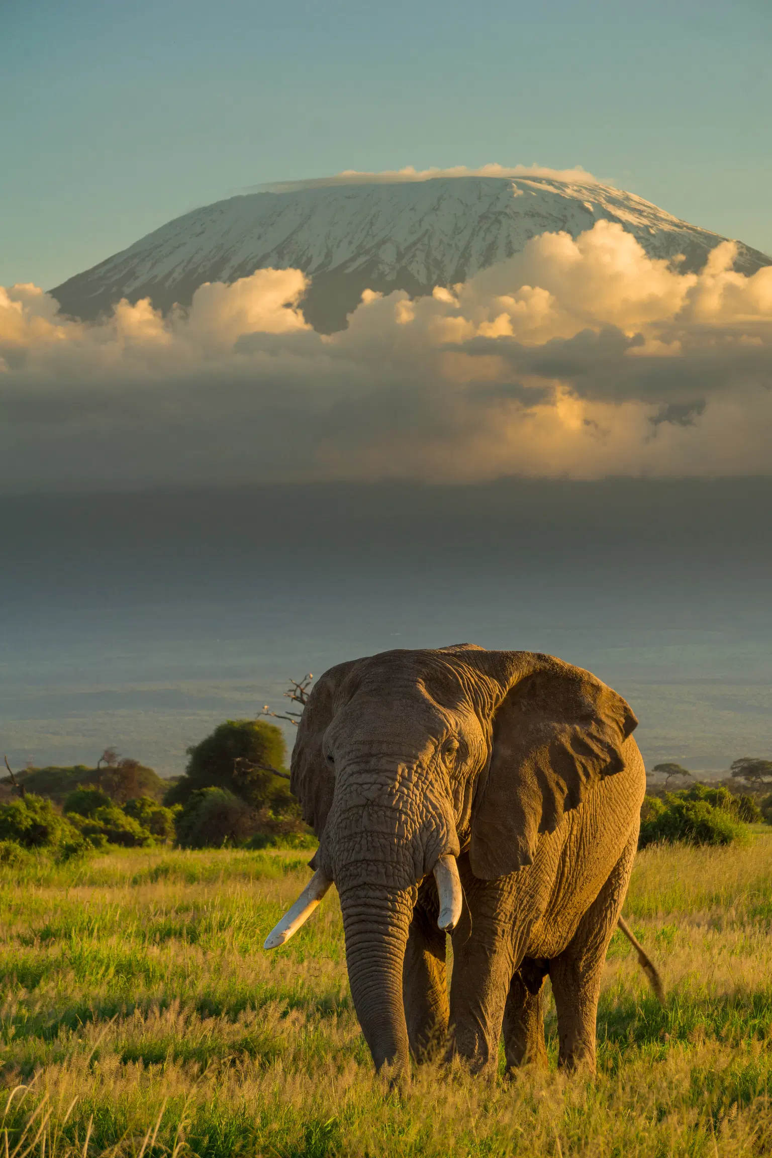 Kenya Group Tour Packages