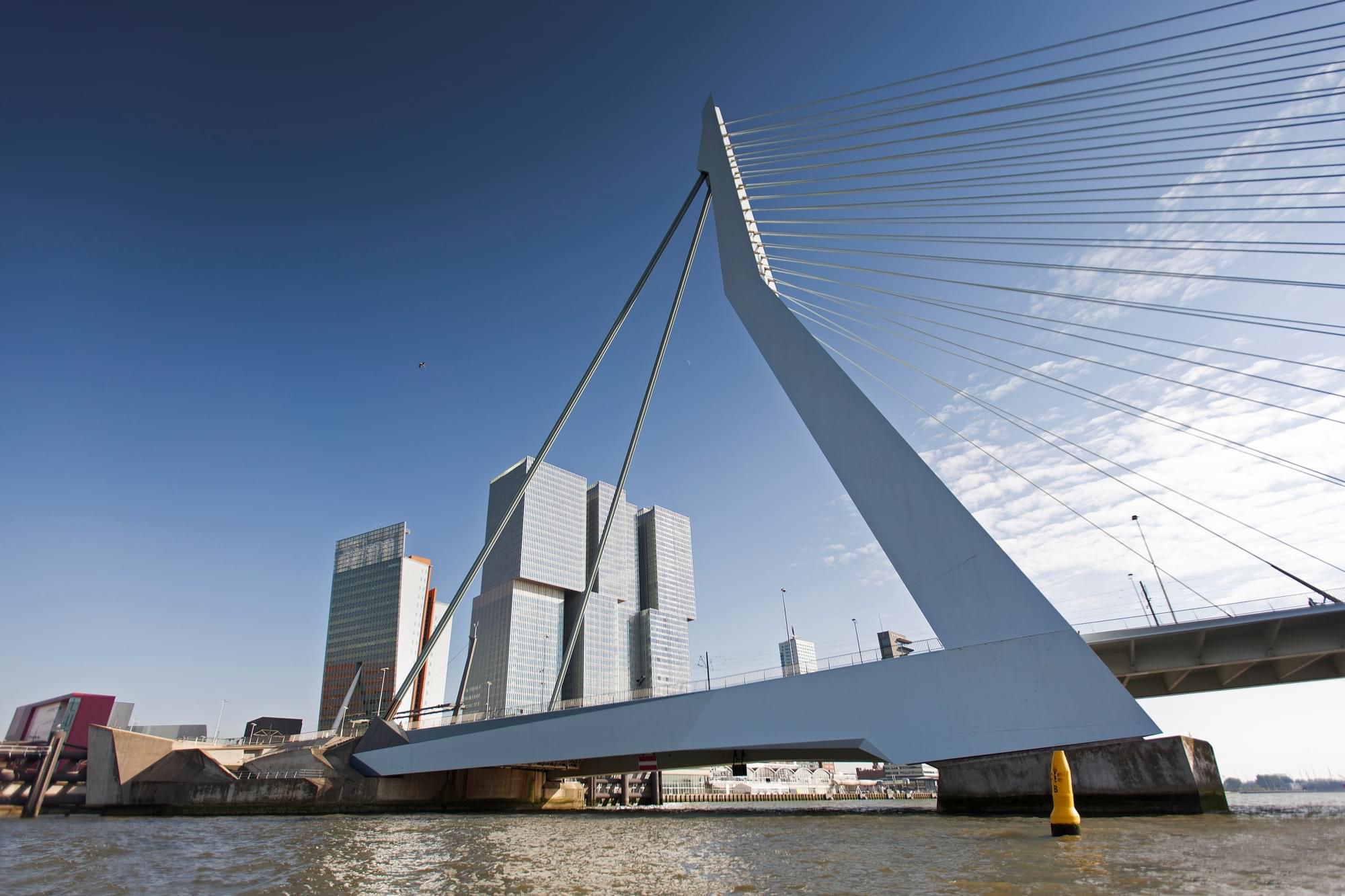 Erasmusbrug Overview