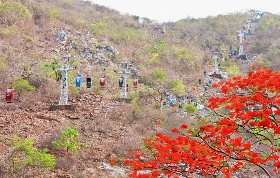 Rajgir Trekking Tour Image