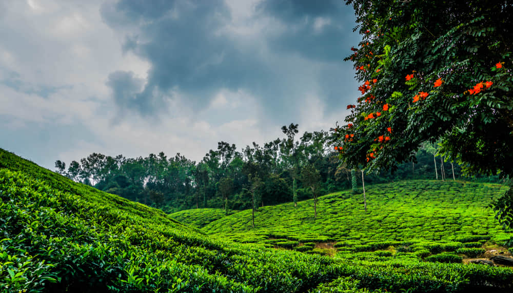 Interesting Facts About Chikmagalur