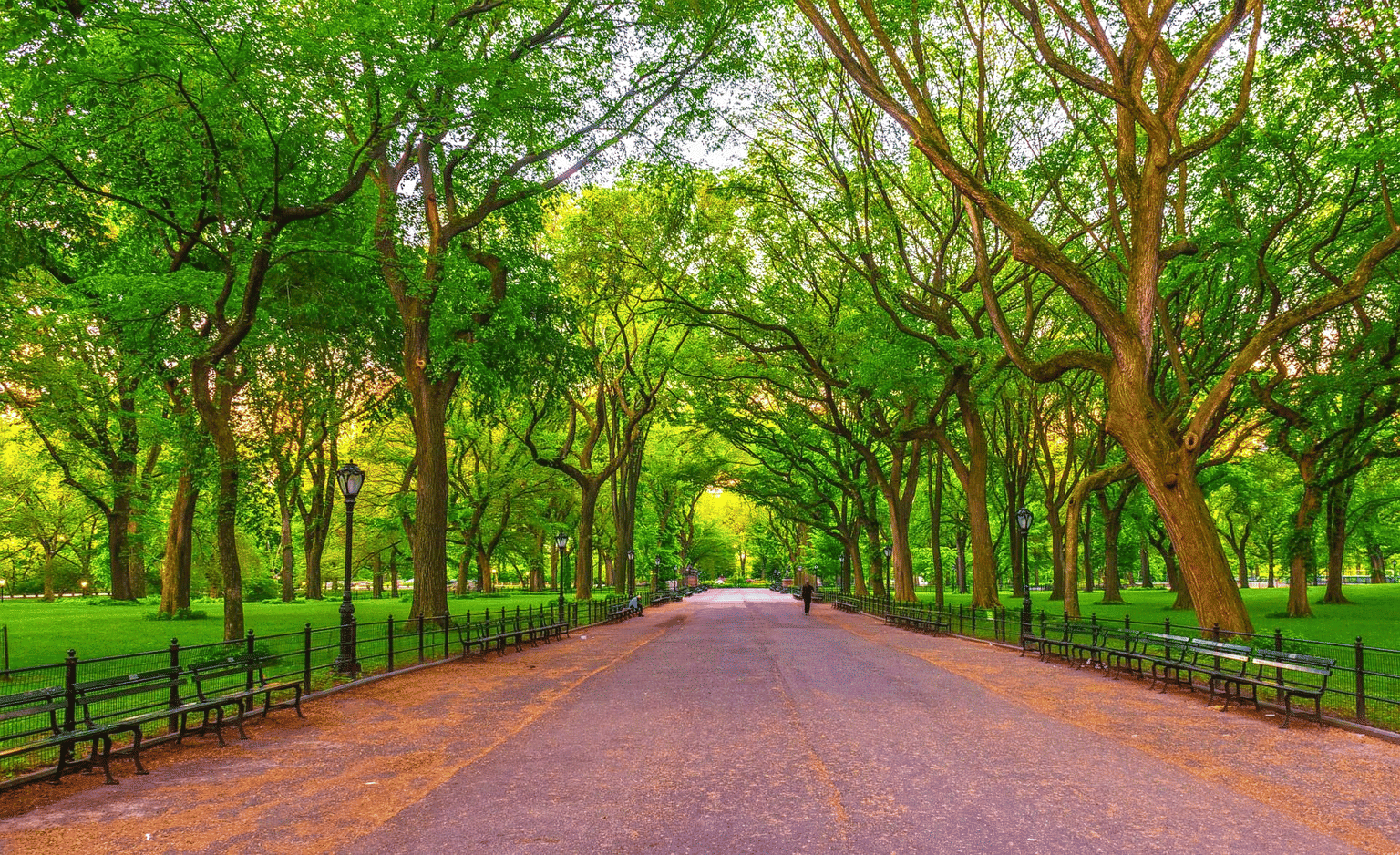 Walk down the Jogging Track