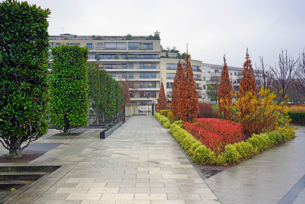 Color themed gardens