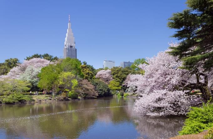 Places To Visit In Tokyo