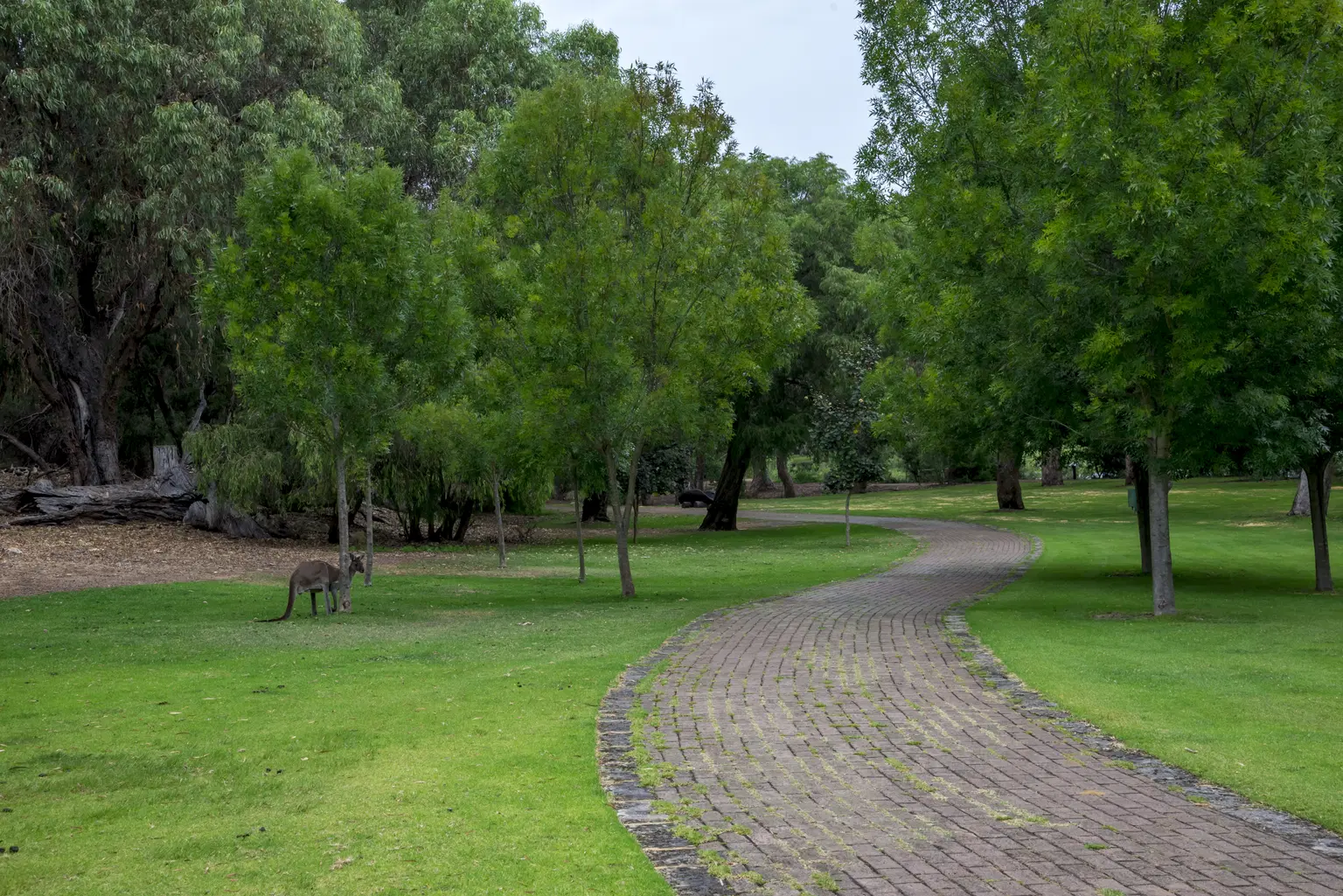 Yanchep National Park