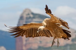 B90jiua1oog52vaq2axmi1ajz41r 1571034081 4b8c43993c55544e812607a5e52072c4