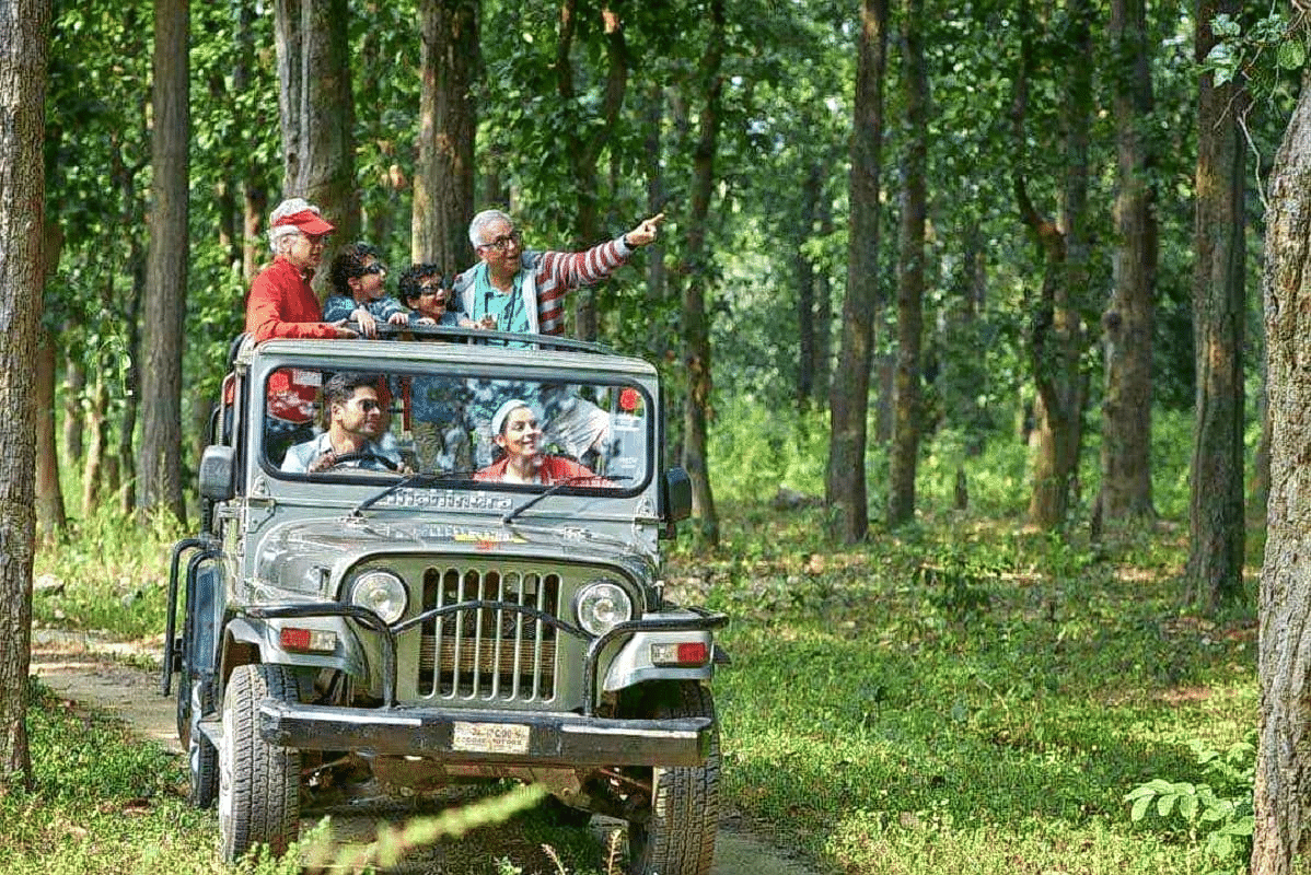 Jeep Safari Into Dubare Forest