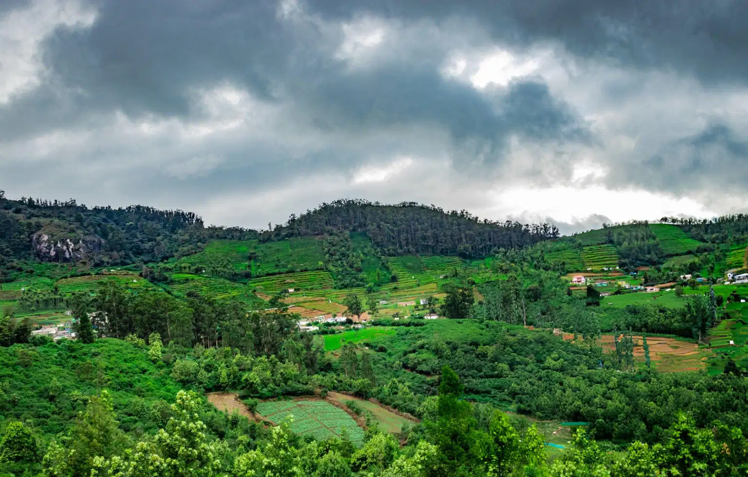 Mysore, Ooty & Coorg Tour Package