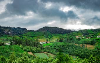 Aerial view of Ooty tea plantations