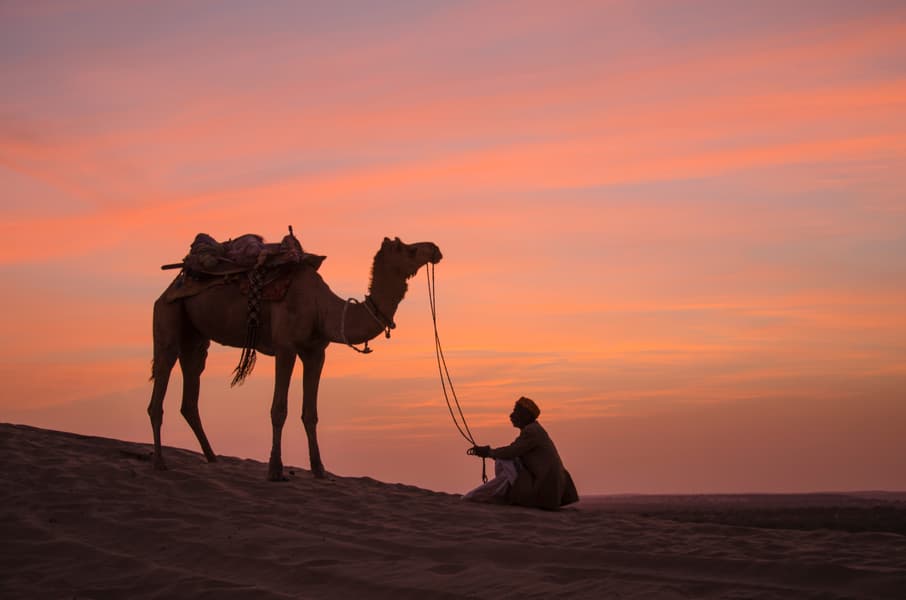 Sunset Camel Safari in Jaisalmer Image