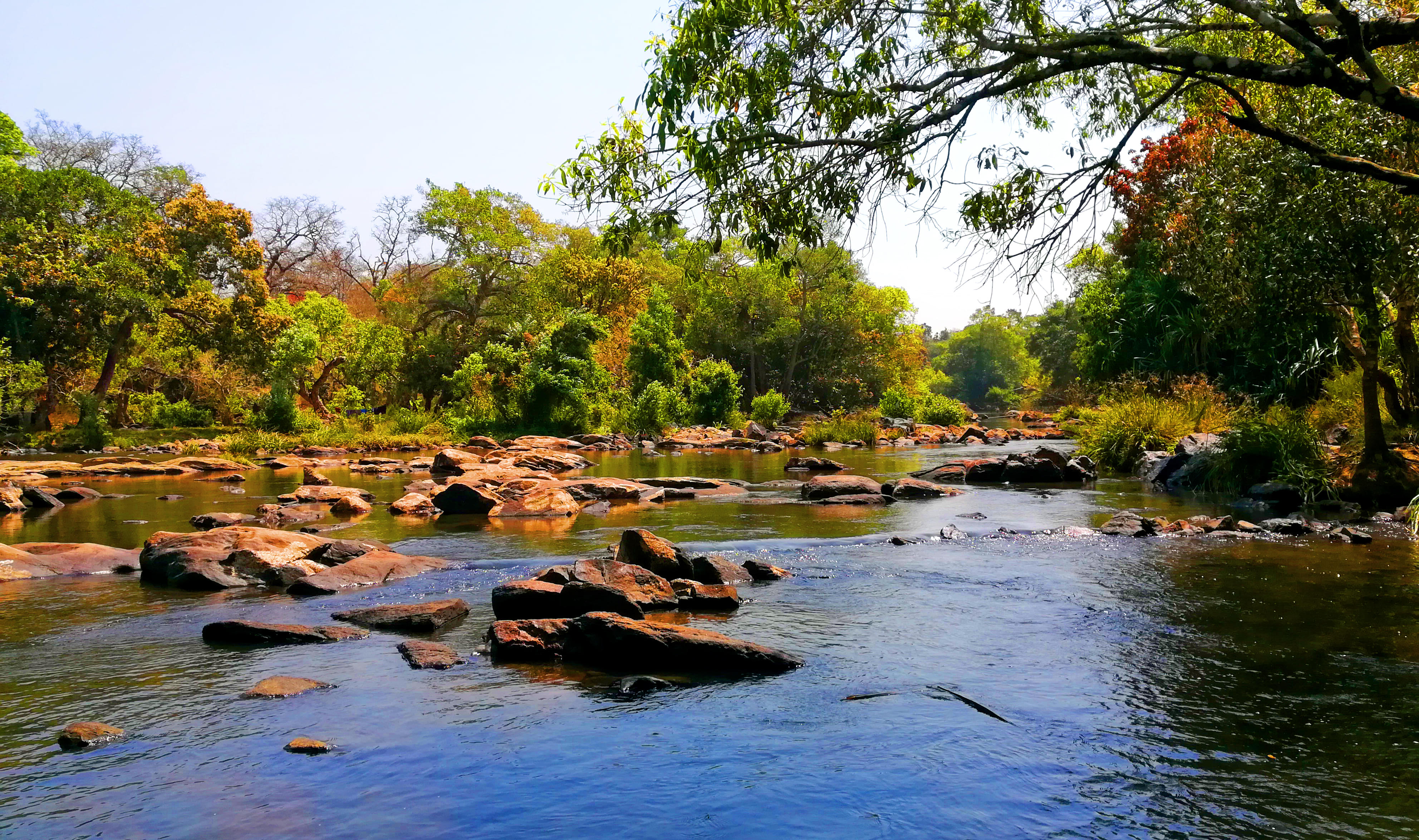 See Kuruva Island which is well-known for its diverse flora