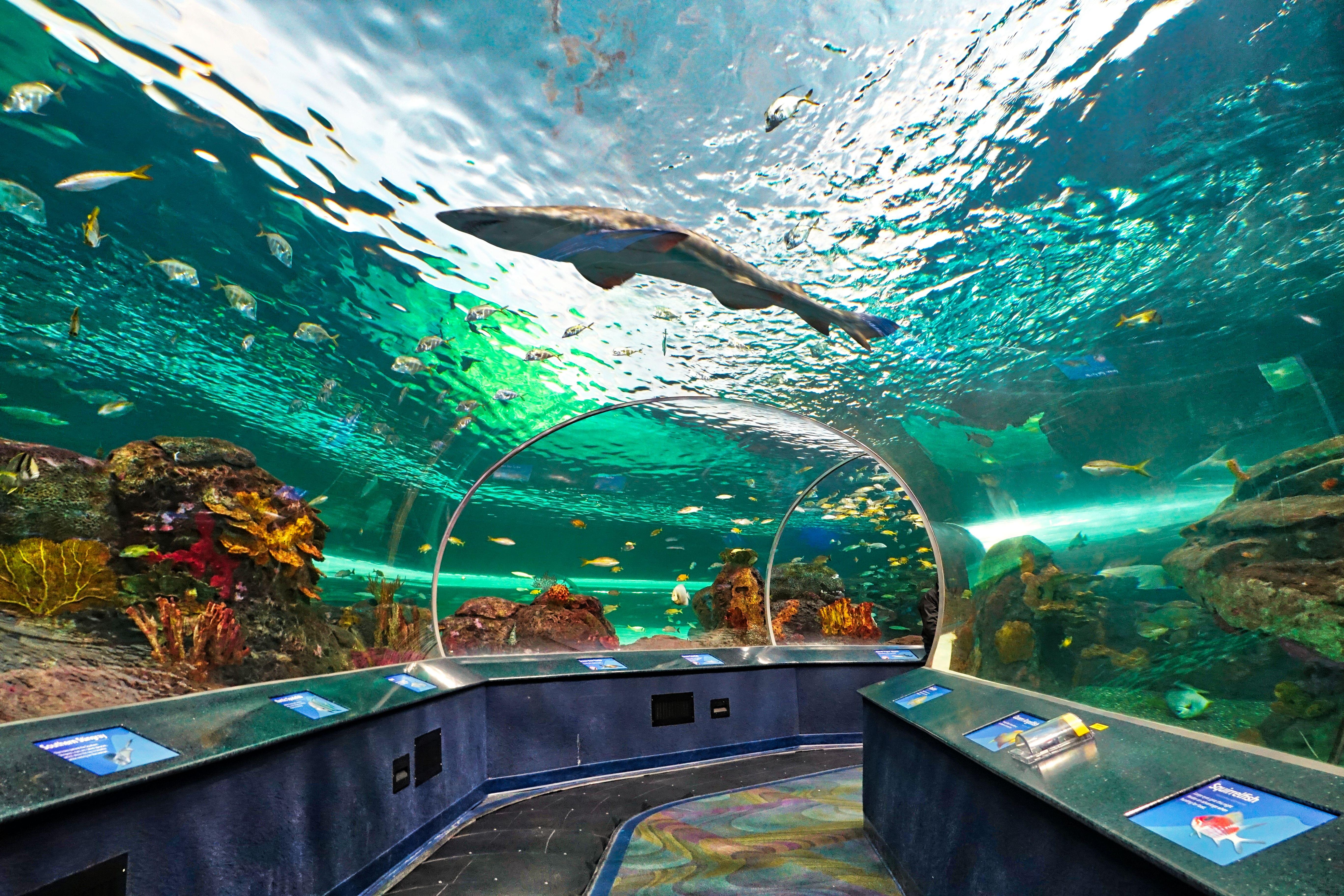 Aquariums in Canada