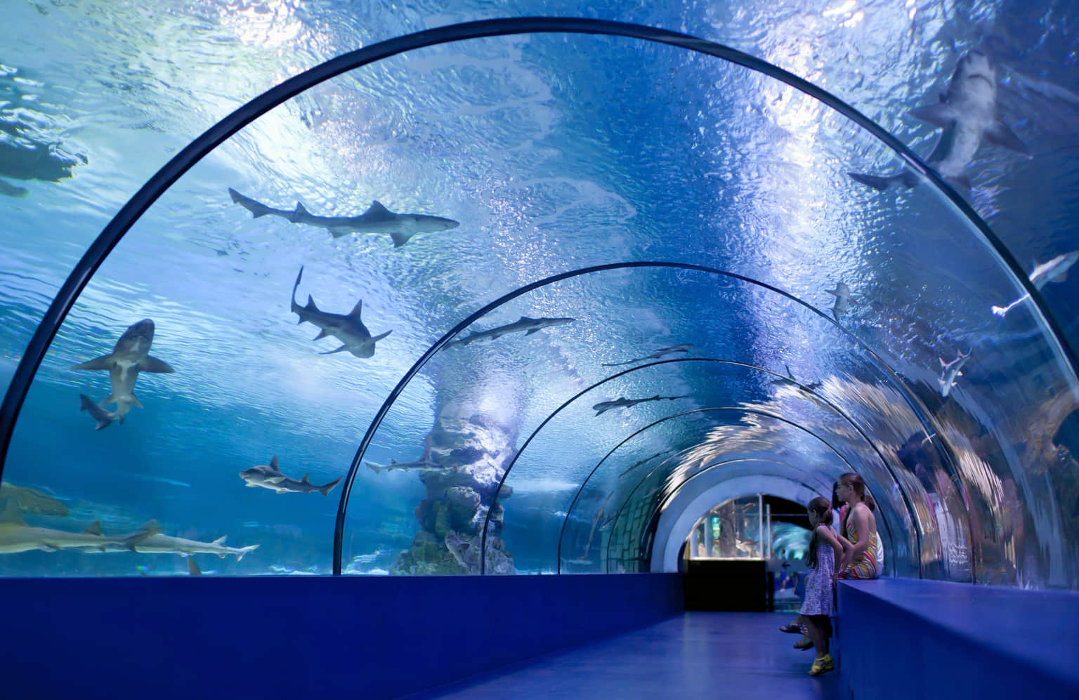 Osaka Aquarium Kaiyukan, <em>Osaka</em>