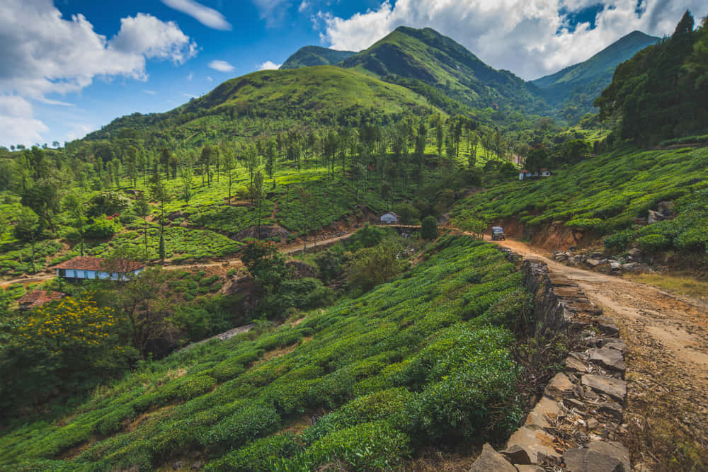 Coorg and Wayanad Package from Bangalore