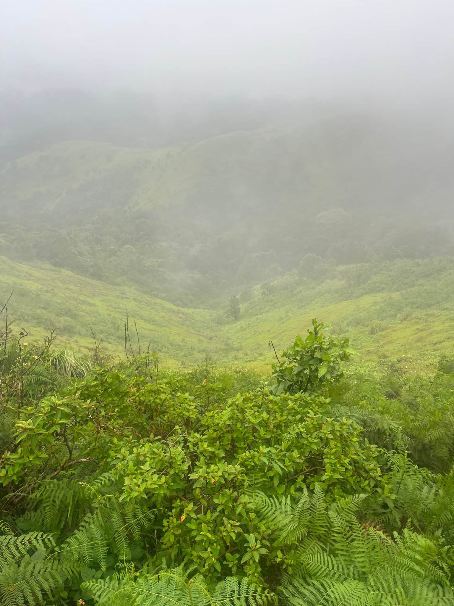 Photo from Chandresh Patel's trip