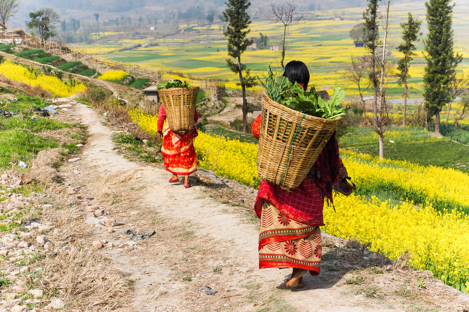 <em>Pokhara</em> Tour Packages From Aurangabad