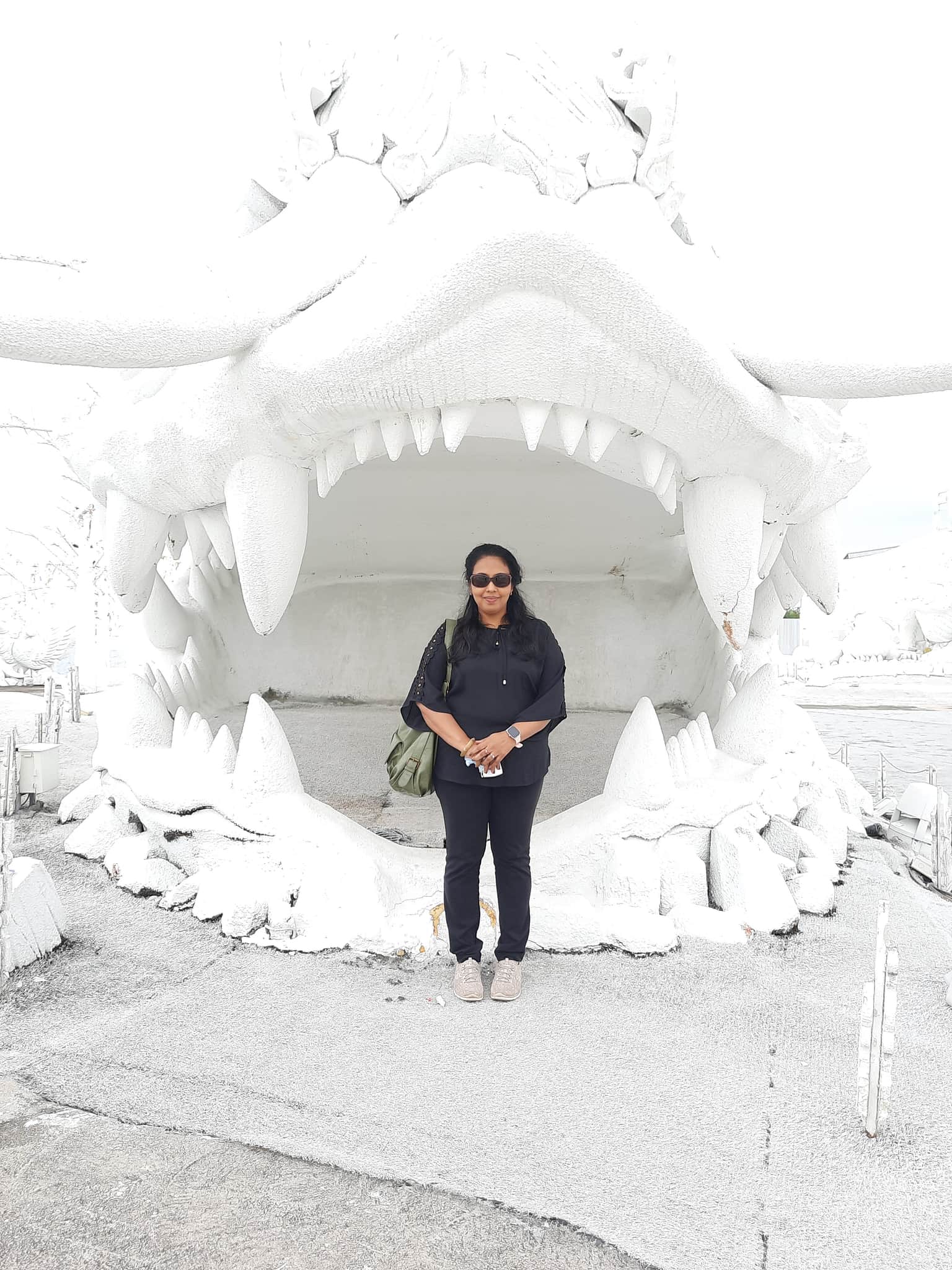 Photo from Ashwin Thomas's trip