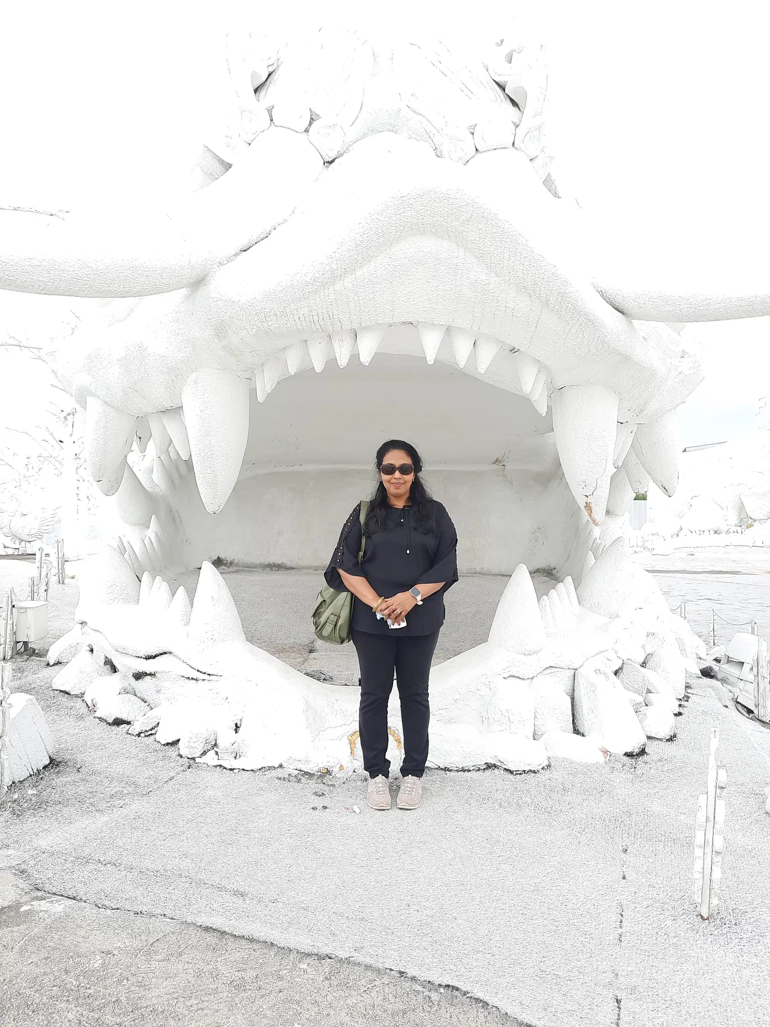 Photo from Ashwin Thomas's trip