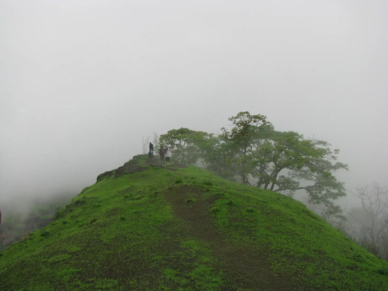 Kothaligad