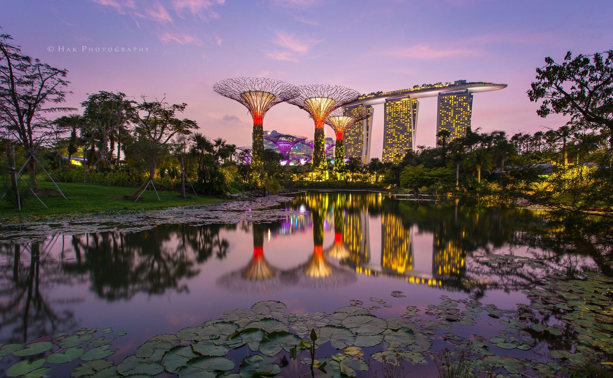 Gardens By Bay & Marina Bay Sands