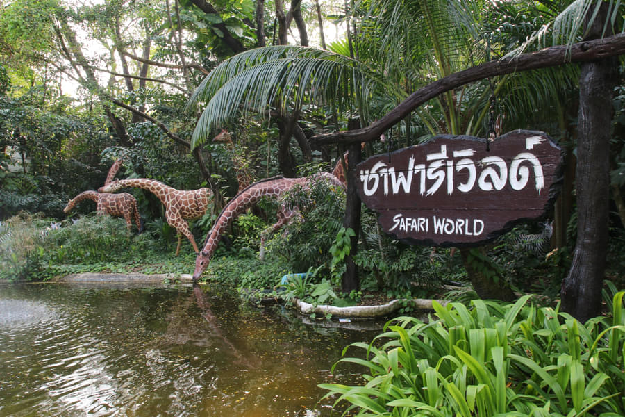 Spend a fun-family time at Safari World Bangkok