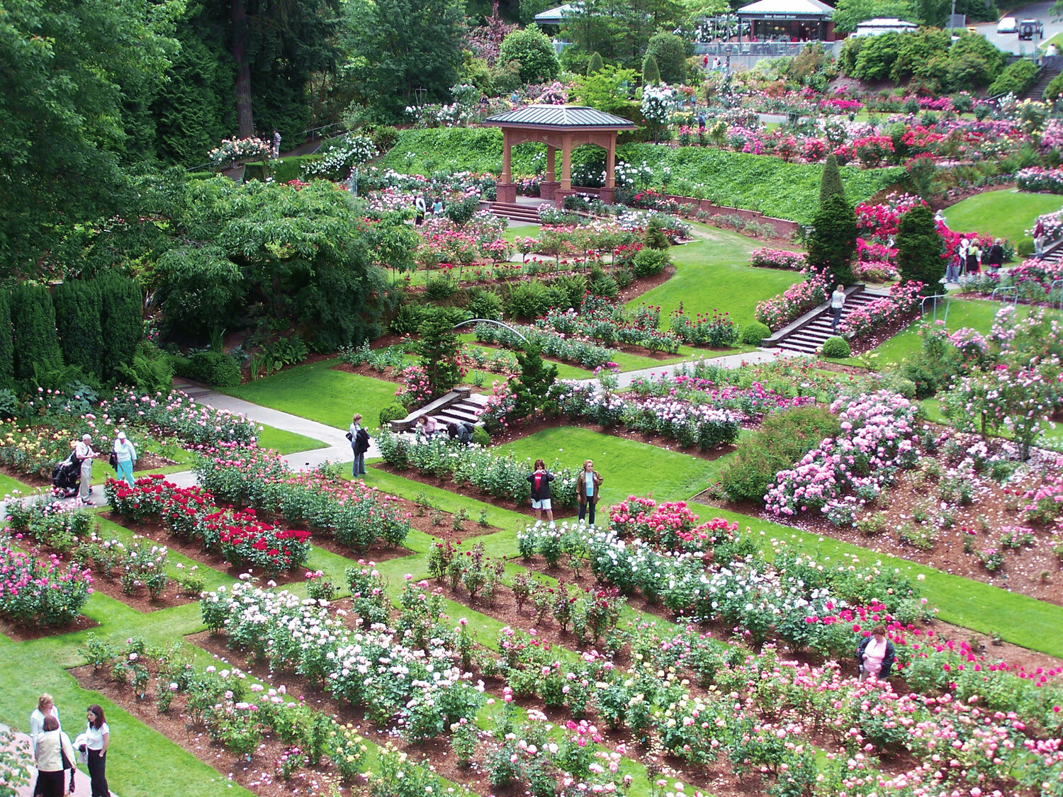 International Rose Test Garden Overview