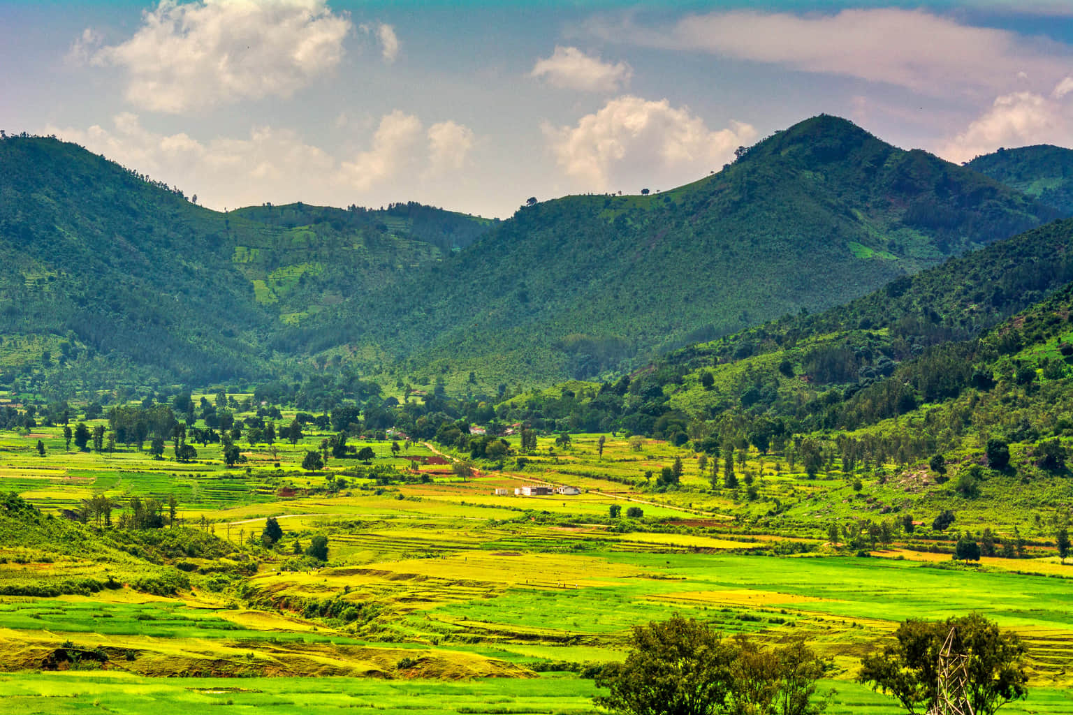 Araku Valley, <em>Visakhapatnam</em>