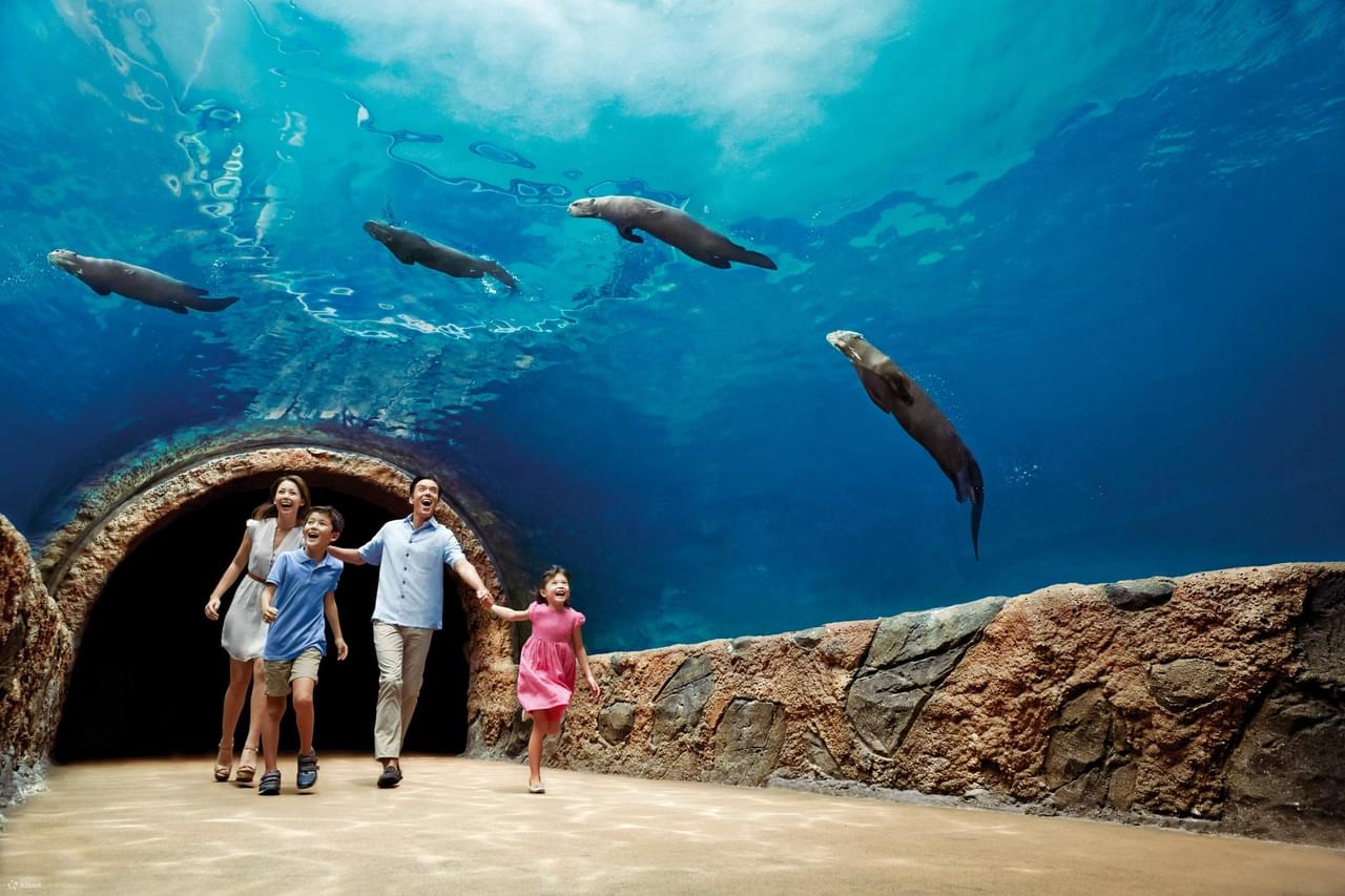 Animals and Zones at River Wonders