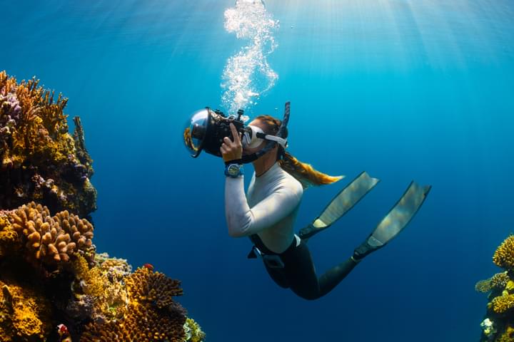 Dubai Scuba Diving and Snorkeling