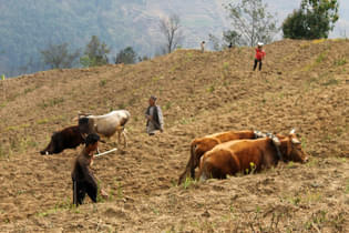 Bdmflo58ftshmwfmiczcii5jev1b 16935405362 1bfe966b7d b