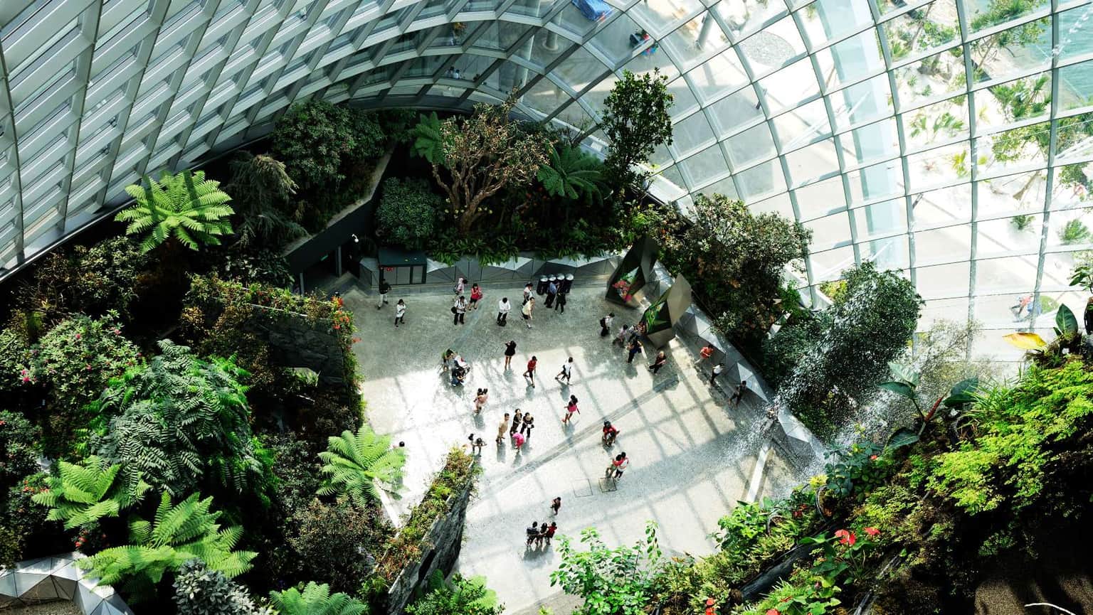 Get to witness unique species of plants at The Cavern
