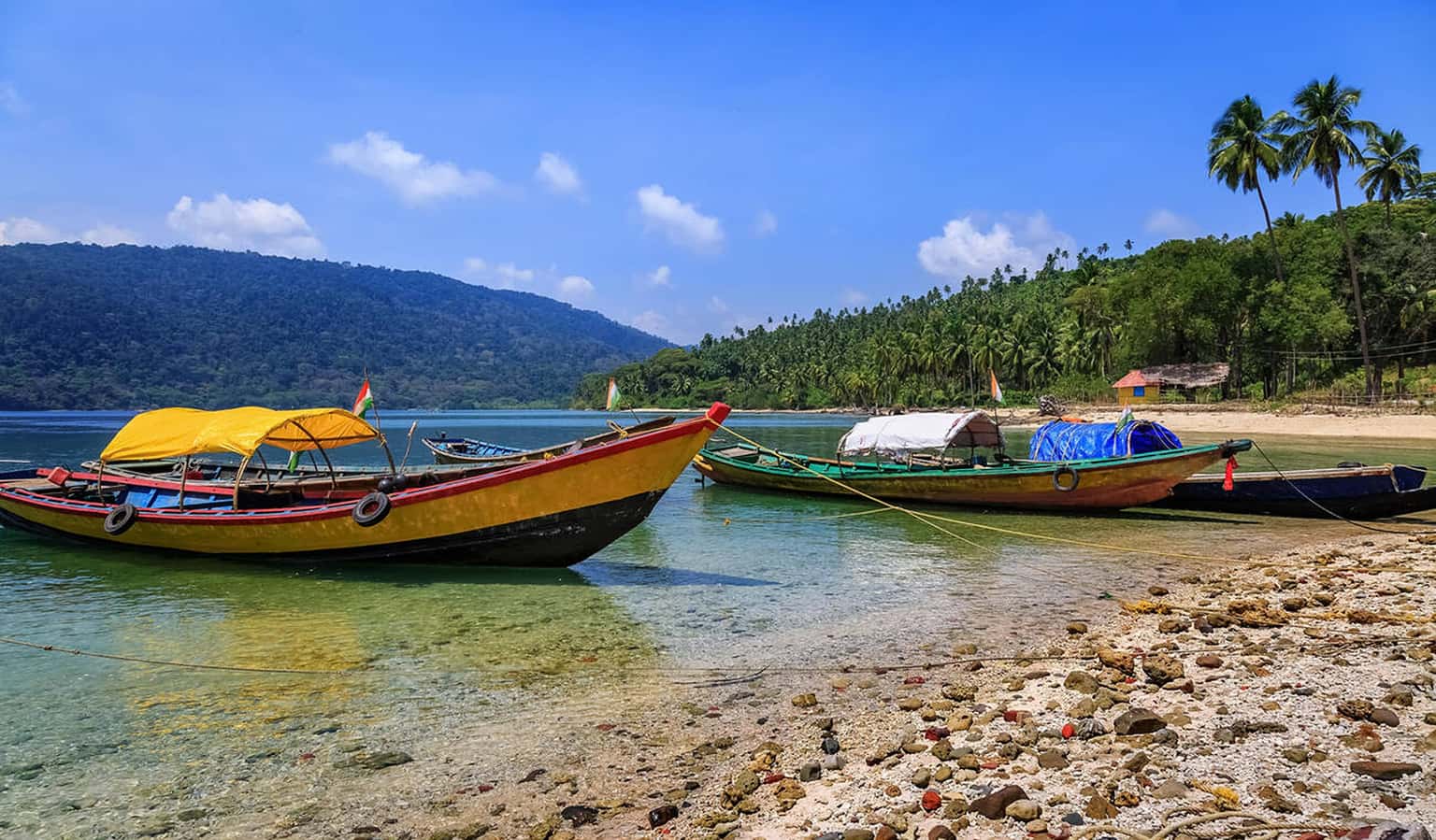 Ross Island & North Bay Island Boat Tickets