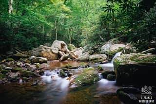 Stony Creek Falls, <em>Cairns</em>