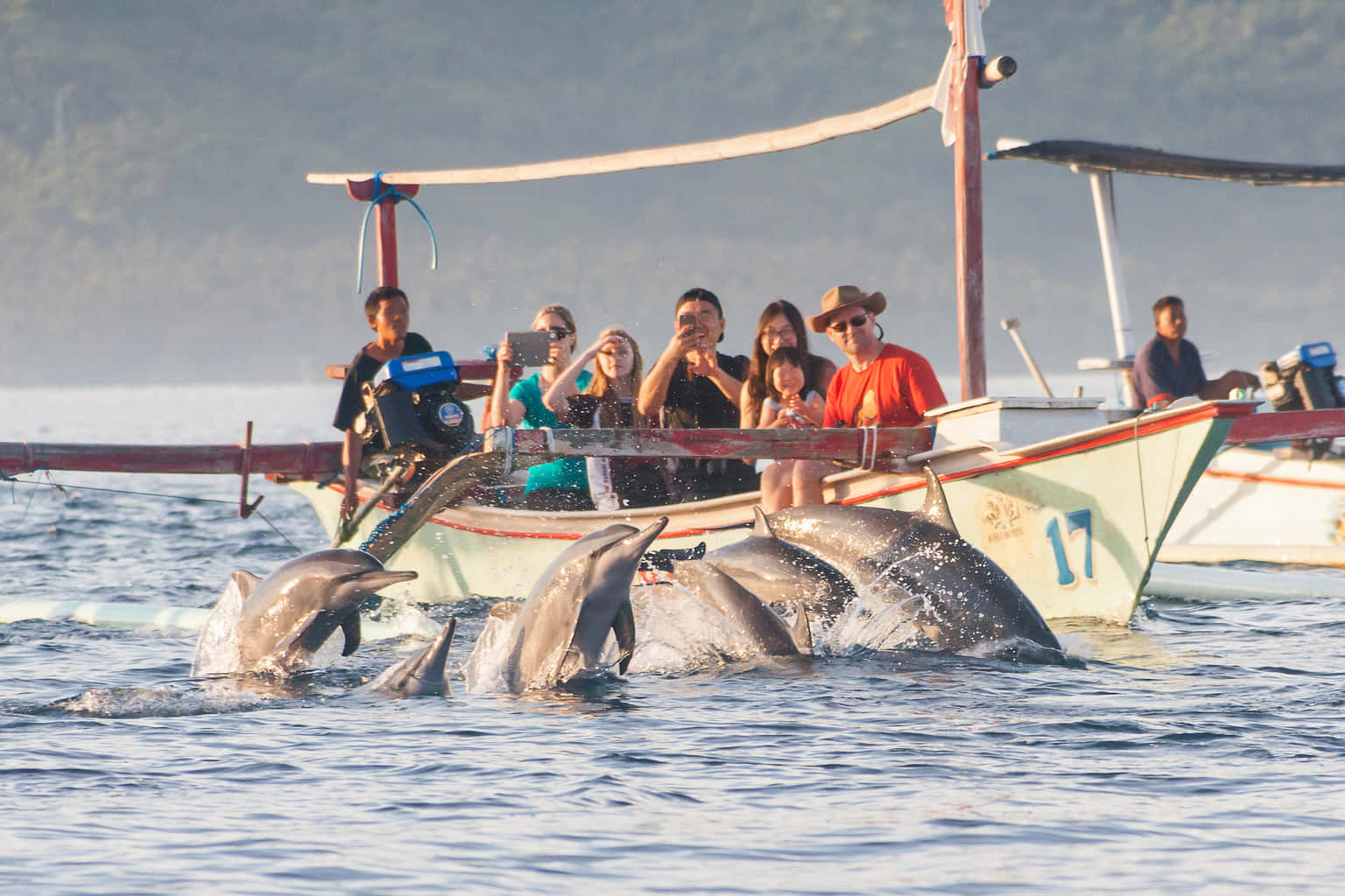 Lovina Dolphin Watching and Snorkeling Tour
