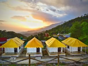 Camping amidst lush nature in Bir